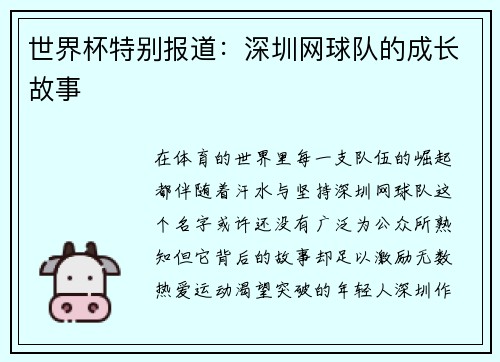 世界杯特别报道：深圳网球队的成长故事